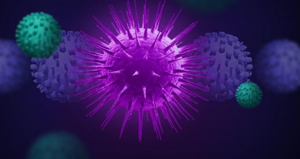 2457e32909ab6e14c08e03a19055e1c4_1660995244_4747.jpg