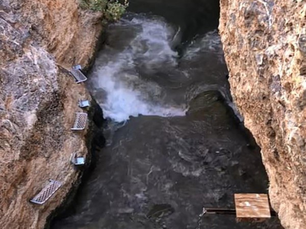 50e0e8ab755de2e89ddb8ca63974d50c_1664028255_7725.jpg