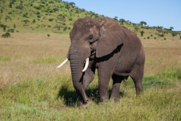b4f7c477e2818f76c898596df72823a3_1737645693_3341.jpeg
